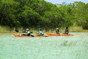 kayak tour community tours sian kaan tulum