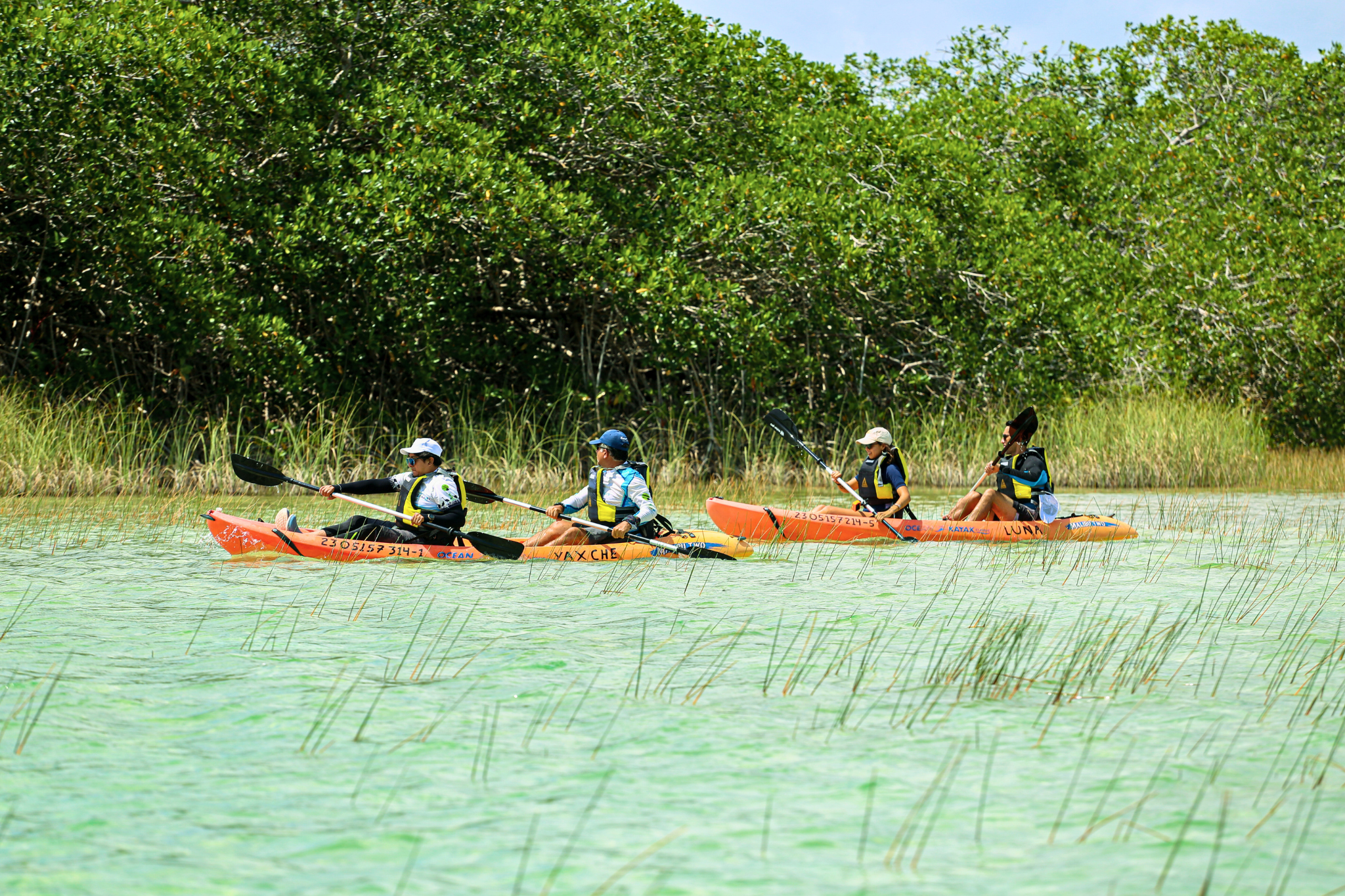 Kayak tour in Sian Ka'an — paddling the Muyil lagoon, Community Tours Sian Ka'an