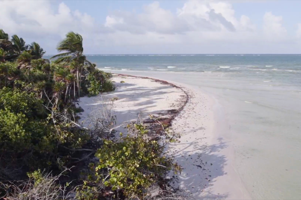 Wild beach and coastline near Boca Paila in Sian Ka'an