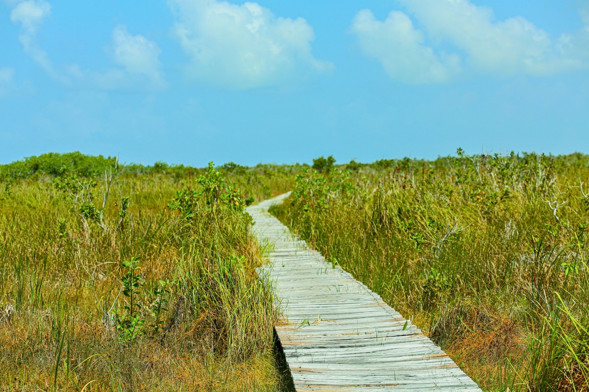 Trek the Sian Ka’an Savanna — Muyil Sacred Mayan Immersion Tour