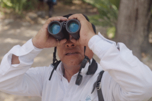 BIRD WATCHING IN SIAN KA'AN