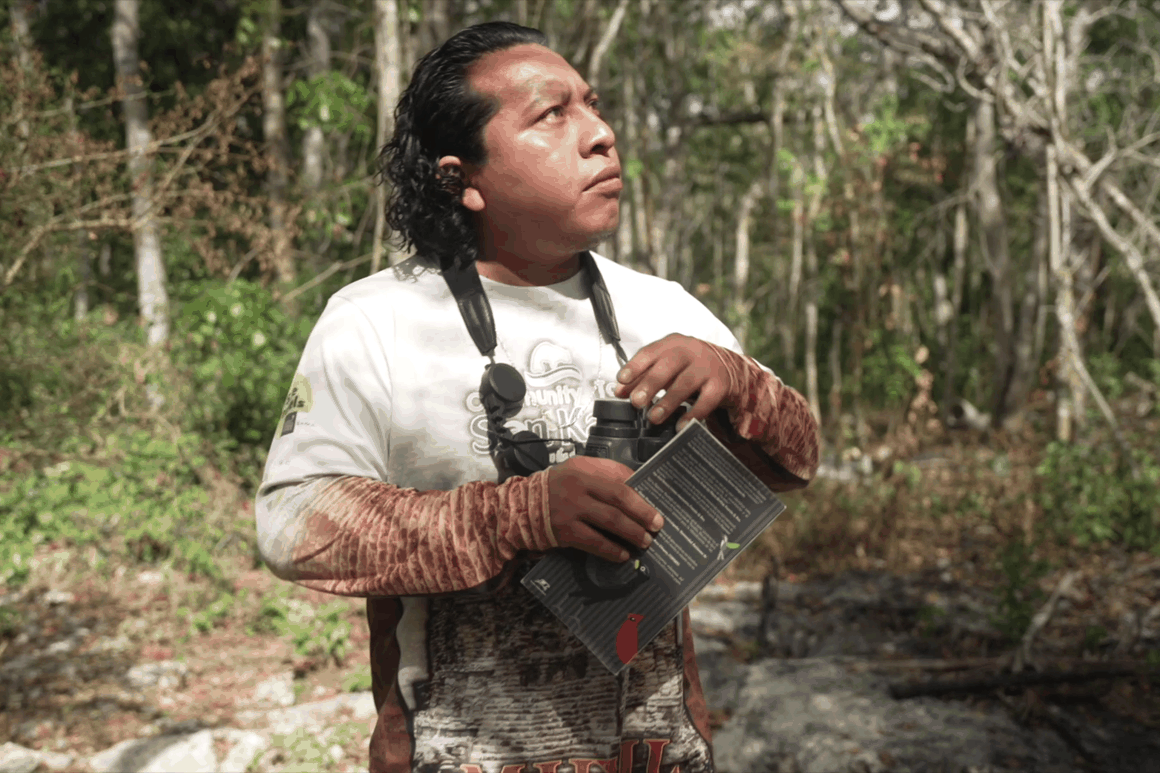 Step Quietly into the Mayan Jungle — Bird Watching Tour Sian Ka'an
