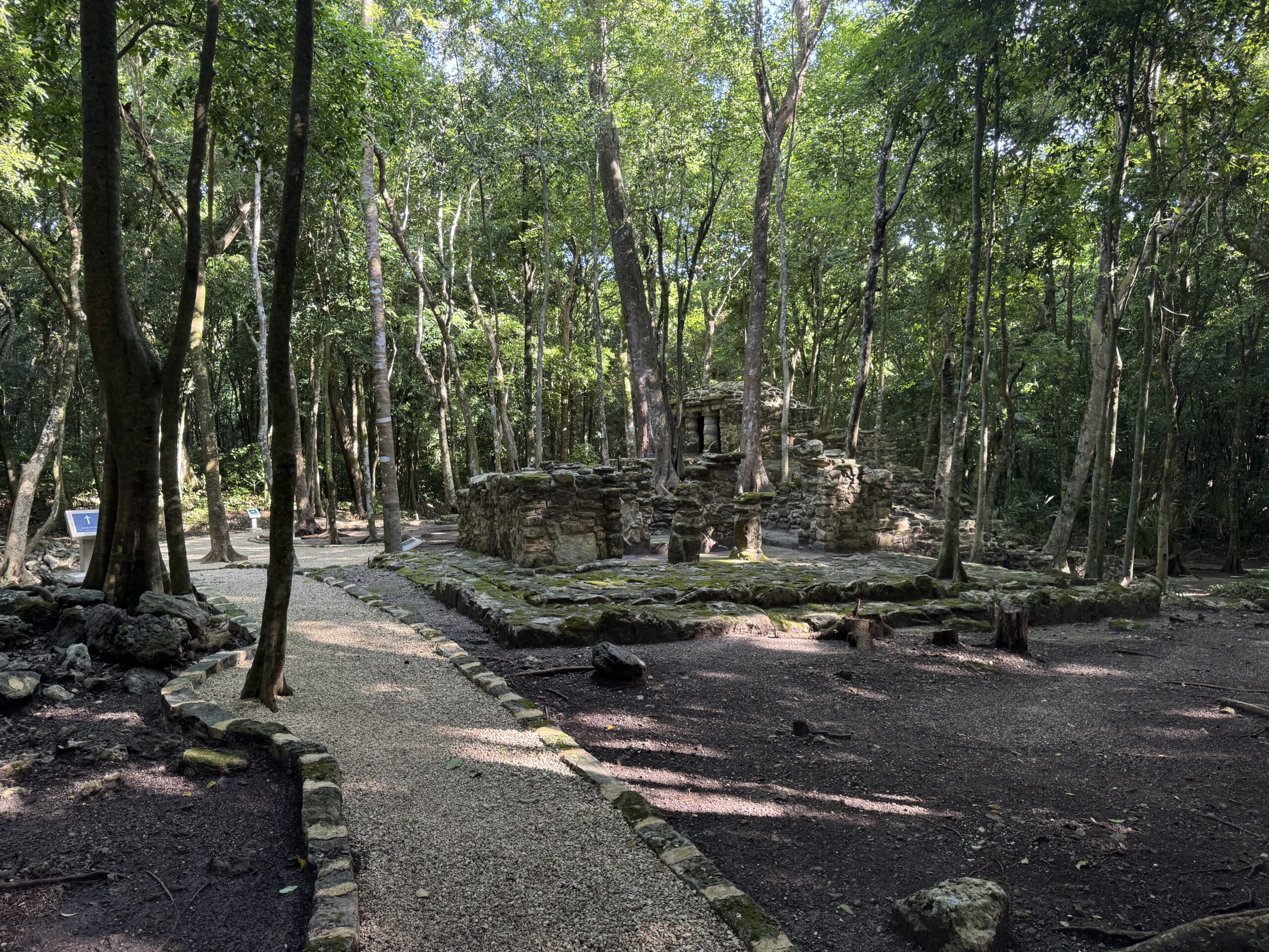 Jungle trail through the Muyil archaeological zone, Sian Ka'an Biosphere Reserve near Tulum