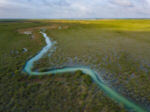 Aerial view of the turquoise ancient Maya canal winding through the wetlands of Sian Ka´an