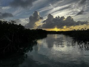 First light of dawn reflected on the calm mangrove channel in Sian Ka´an