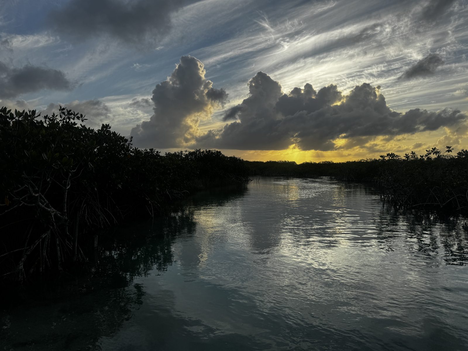 First light of dawn reflected on the calm mangrove channel in Sian Ka an