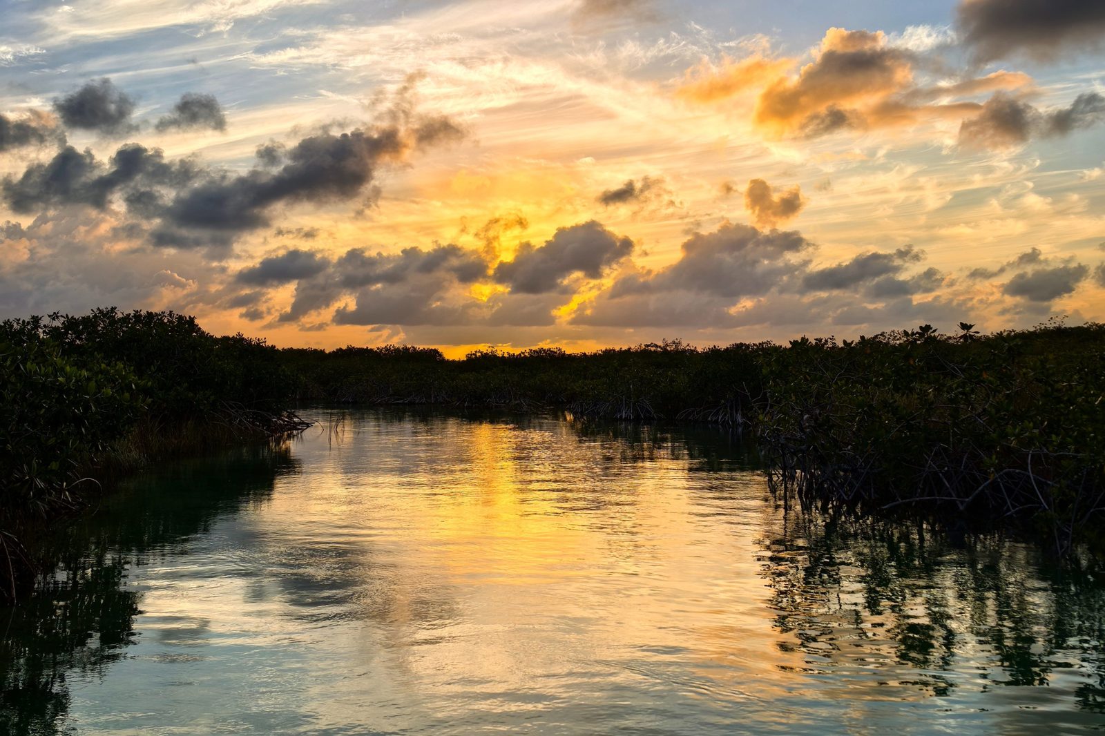 Golden sunset reflected on the calm lagoon and mangroves of Sian Ka an