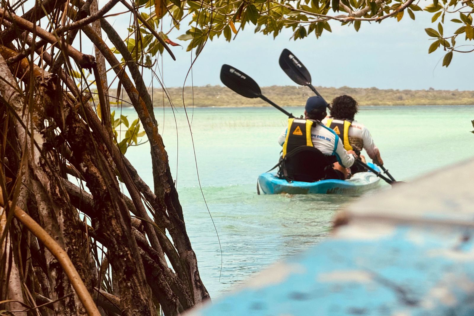 Two visitors paddling a kayak beneath a tunnel of mangrove roots in Sian Ka an