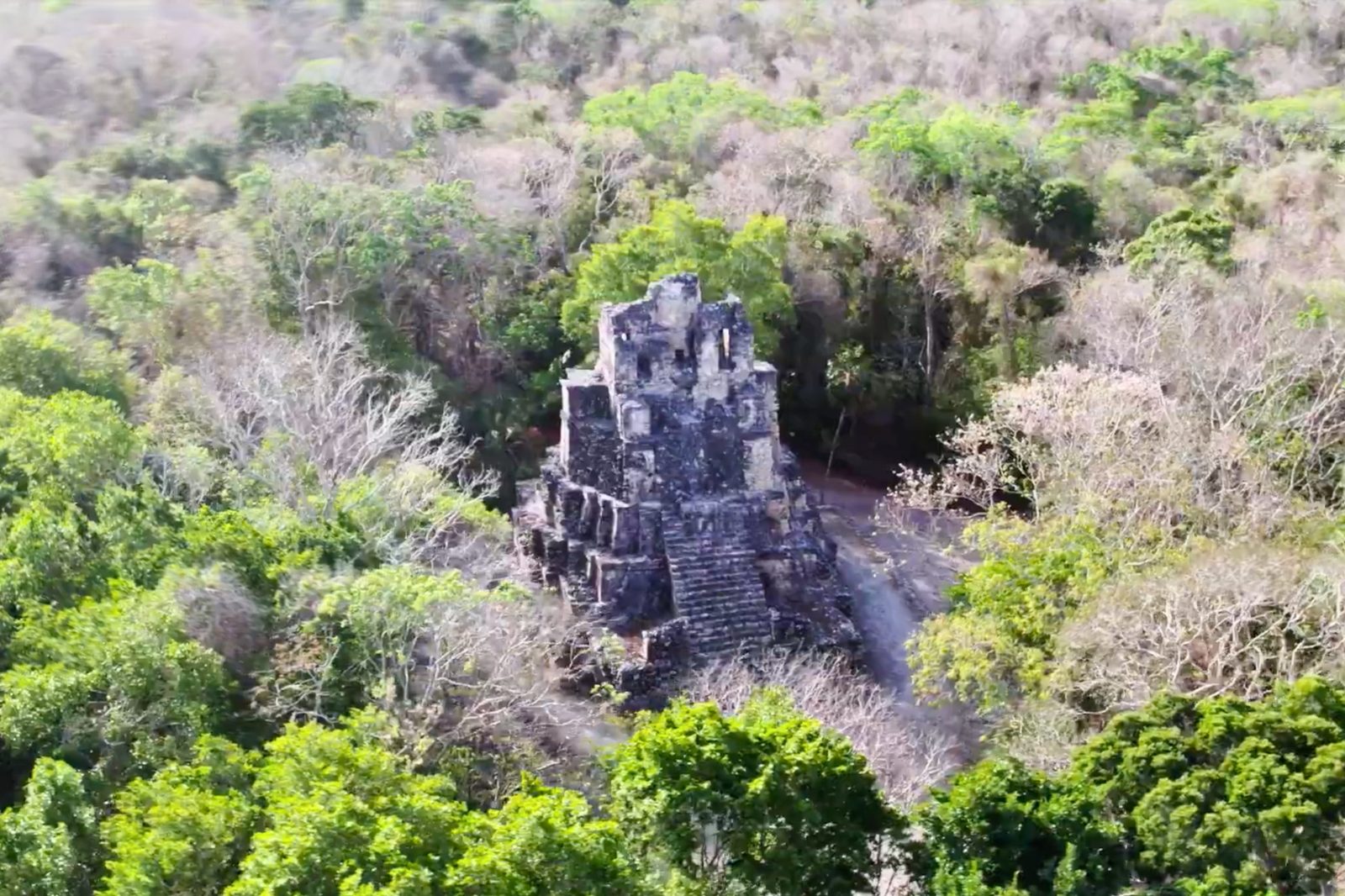 Aerial view of the Muyil pyramid rising above the jungle canopy near Sian Ka an