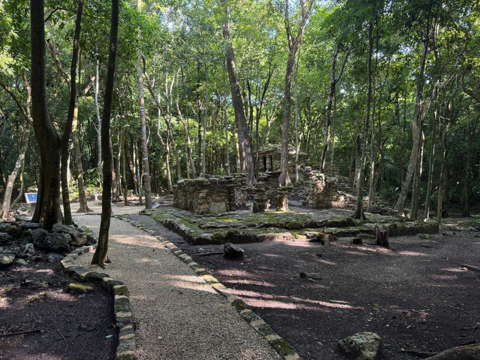Jungle trail through the Muyil archaeological zone, Sian Ka'an Biosphere Reserve near Tulum