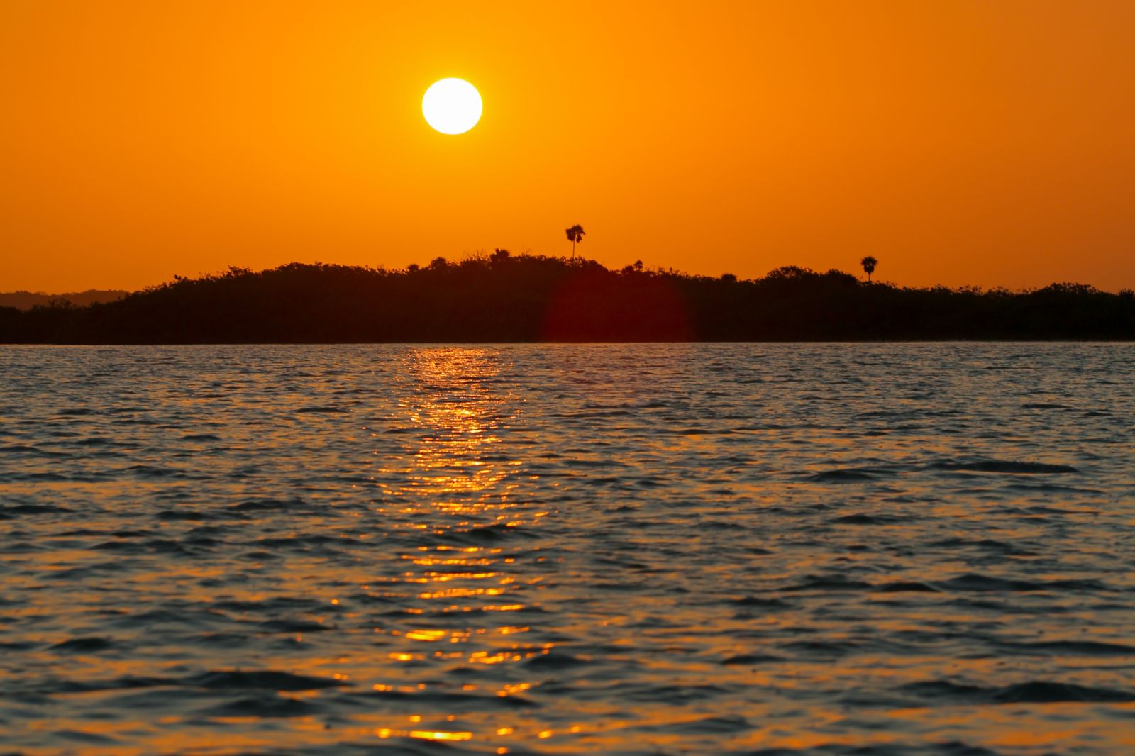 Golden sunset over the lagoon on the Sunset Ancient Canal experience in Sian Ka an