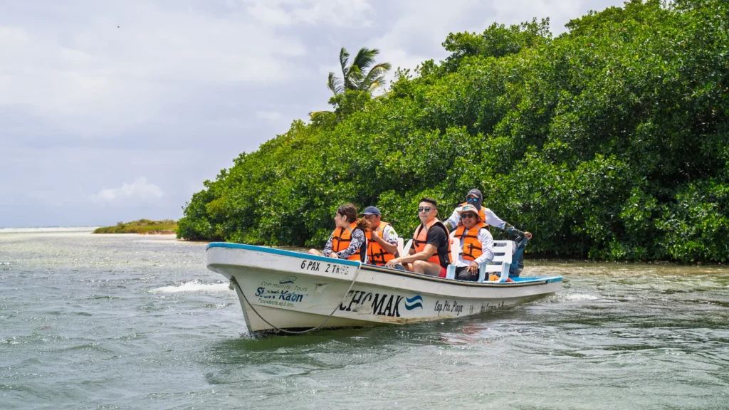 Boat with visitors approaching a mangrove point on shallow water