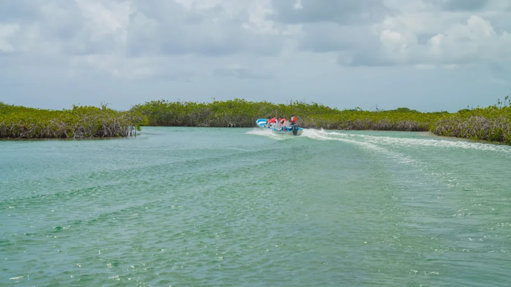 A boat leaves a long wake across a wide lagoon in Sian Ka'an