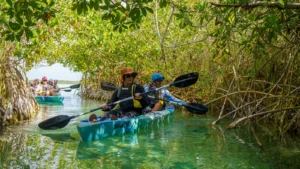 Paddlers in a kayak under a tunnel of mangrove branches