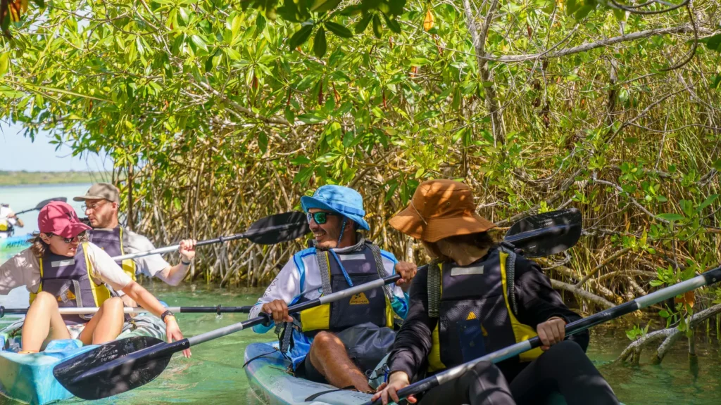 Kayakers in sun hats moving through the mangrove tunnel