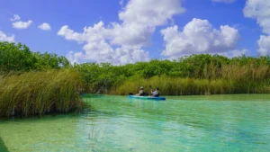 Wide blue sky over a calm lagoon and reeds, with a kayak in the distance