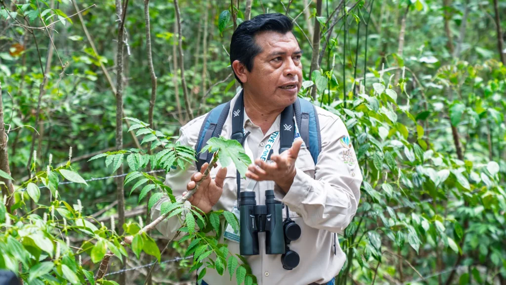 Maya guide with binoculars explaining bird behavior in the jungle